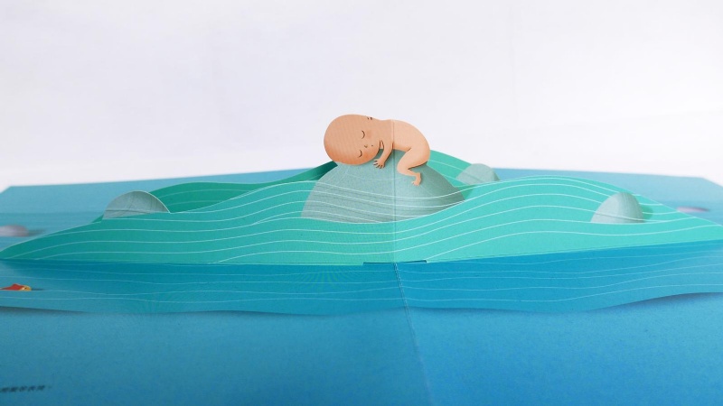 你在媽媽肚子裡的樣子―1：1真實比例小寶寶立體書（立體封面典藏版）